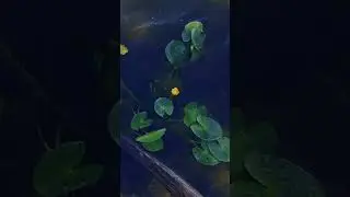 Как живут Ханты в Западной Сибири