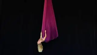 Aerials (Aerial Hammock)