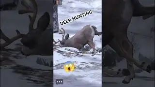 Hunted A Deer Because Of Hunger #shorts #deerhunting #hunts