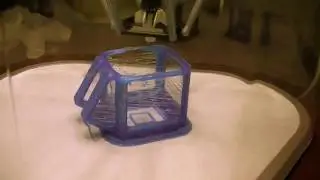 Tiko 3D printer: First impression and first print