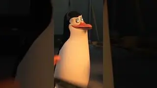 The boys meme #1 - Penguins being sus - #theboys #theboysmemes #penguin #memes #music #meme