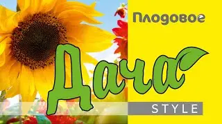 уДача с Плодовым!