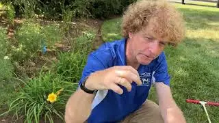 The Top Three Reasons To Aerate and Seed Your Lawn