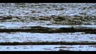 Queen Victoria's Empire Part 16 of 16