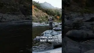 Fly Fishing for Trout in Beautiful Trinity County #shorts  #fishing  #fish