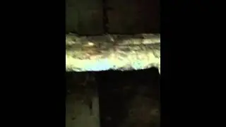 Экскурсия по Чернобылю! Часть 2