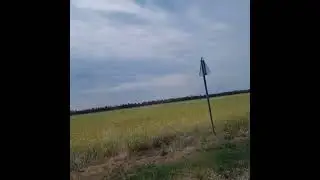 29 августа 2024 г.