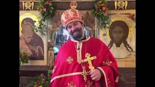 🌞 Мы с Вами вступили в Гагаузское лето!о.Андрей Ткачев.