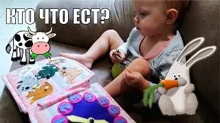 Развивающая книжка-счет | ОБЗОР