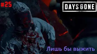 Days Gone — Ибо тебя увидел я #25 #daysgone #игры