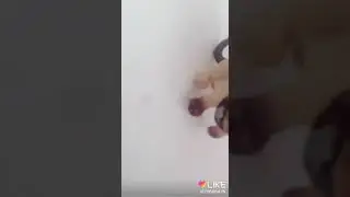 Порвала майка