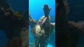 Christ of the Abyss #underwater #diving #jesus