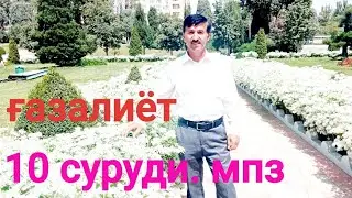 Сафовуддин Рачабов