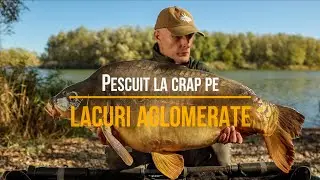Pescuit la crap pe lacuri aglomerate