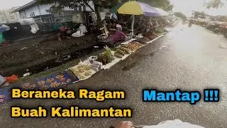 Ngevlog Pagi Hari Di Kalimantan Sambil Berburu Buah Kalimantan