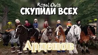 НОВАЯ АРДЕНСКАЯ ЛОШАДЬ|СКУПИЛИ ВСЕХ???|STAR STABLE