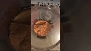 Valuable Mint Error Pennies! #coin