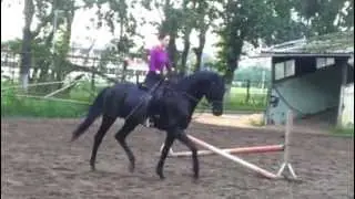 Бриз. Рабочие моменты. 02.06.2013