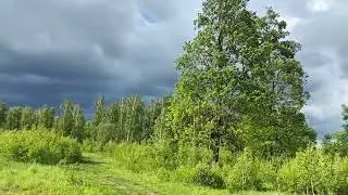 Матушка -Земля (исп.Татьяна Куртукова)