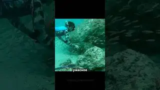 This incredible incident saved him