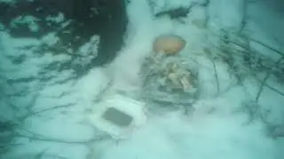 Ритуал  онлайн унять клеветников , сплетников, соседей.