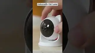 Exciting Fun for Your Cat! Introducing the Automatic Cat Toy