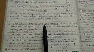 Translation in prokaryotes l part 1l easy to learn l complete notes