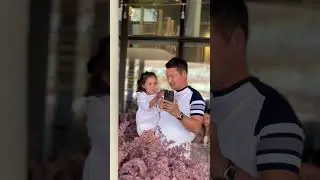 Ролик с Папой для кафе Делиш