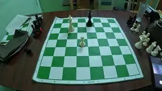 King and pawn endings