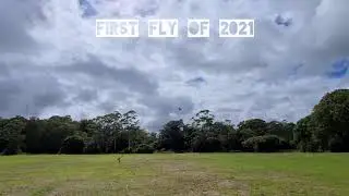 Free Flight Parrots- First fly of 2021