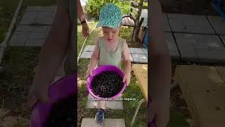 ВАРЕНЬЕ с Даней 😂😋 