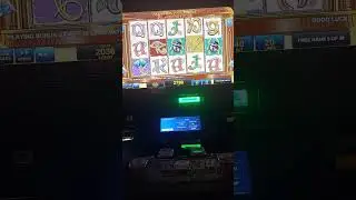 Stupid bonus laimētāva Dimants