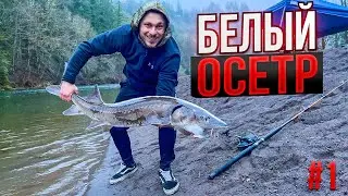 Sturgeon Fishing in Winter #-1