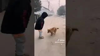 What country is this?