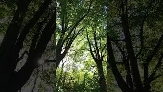 8 сентября 2024 г.