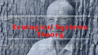 Ecological Systems Theory (Bronfenbrenner)