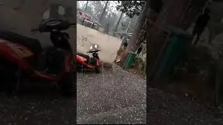 ole ole in iit roorkee