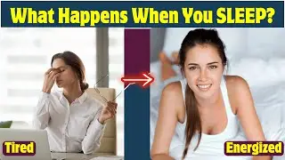 From Tired to Energized in 24 Hours | What Happens To Your Body When You SLEEP?