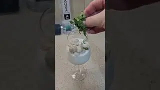 БЫСТРЫЙ ПЕРЕКУС!
