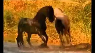 Красивая музыка