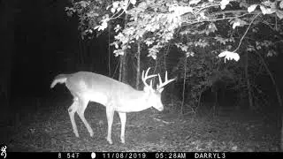 Buck working