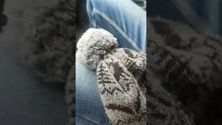 Обогрев автомобиля , мини обогрев авто зимой , печка, автономка