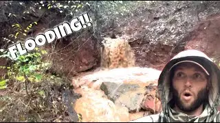 We Had To Leave The Farm.  Quick Farm Update From The Caribbean!!