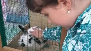 Мои веселые дни!
