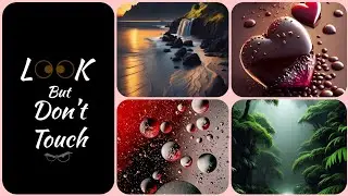 Phone wallpapers ||  Beautiful iphone wallpaper || Wallpapers ||