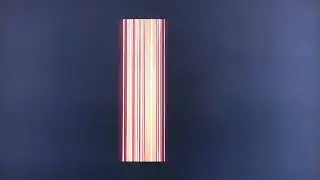 Netflix Logo (2019; Cinemascope)