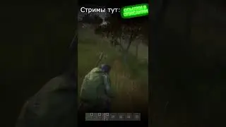 РАЗОРВАЛИ ВЫСТРЕЛАМИ В DAYZ - 