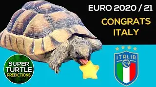 UEFA Euro 2020 Winner ⚽ Football Prediction 2021 🐢 Congrats Italy 🏆