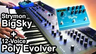DSI POLY EVOLVER (12 Voices) + Strymon BIG SKY - Ambient Chillout Music 【SYNTH DEMO】