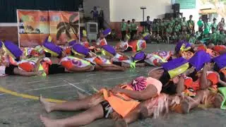 Dominos
